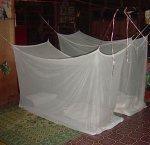HomeStay Mosquito net