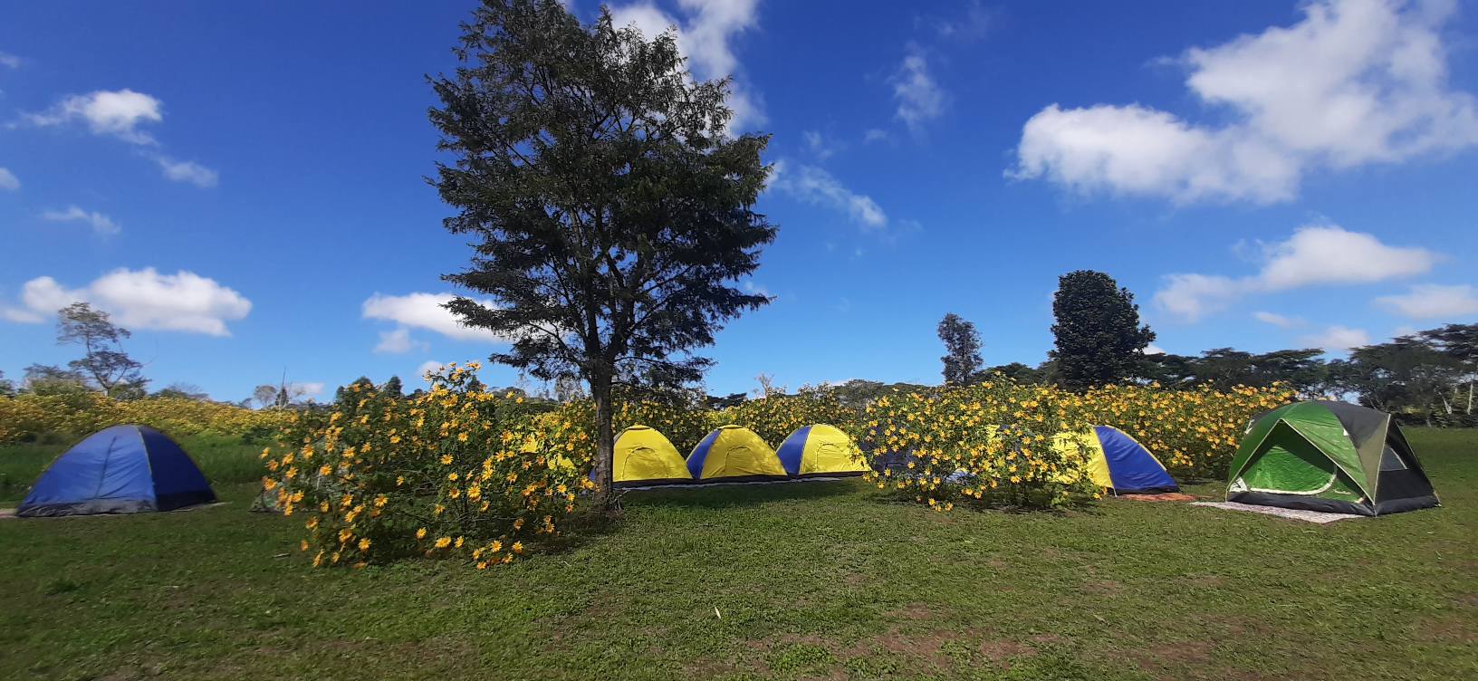 Camp site at Mystic Mountain Homestay